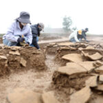 Археологи работают на раскопках, тщательно исследуя древние артефакты в поле.