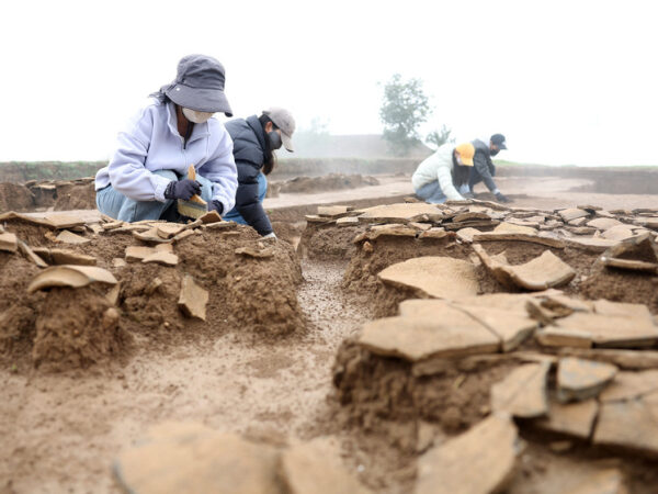Археологи работают на раскопках, тщательно исследуя древние артефакты в поле.