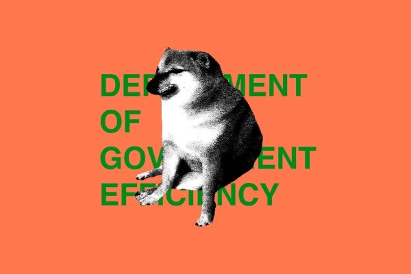 Собака на фоне надписи "DEPARTMENT OF GOVERNMENT EFFICIENCY" на оранжевом фоне.