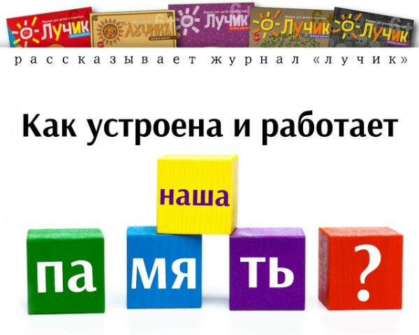 Как устроена и работает наша память — статья в журнале «Лучик» с цветными кубиками.