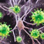 Вирусы под микроскопом: зелёные патогены и клетки, концепция инфекции или науки.