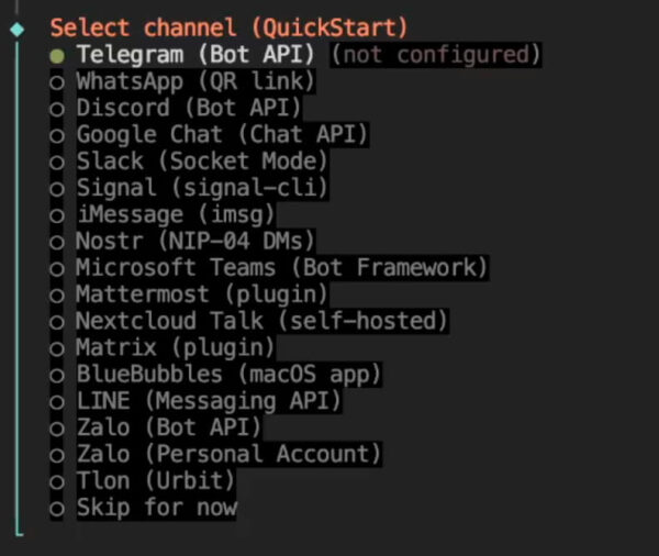 Clawdbot - Moltbot - OpenClaw - магия: честный гайд по приручению AI-ассистента 10 12-select-channel.jpg