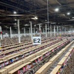 Склад с продукцией и рядами стеллажей внутри крупного промышленного помещения.