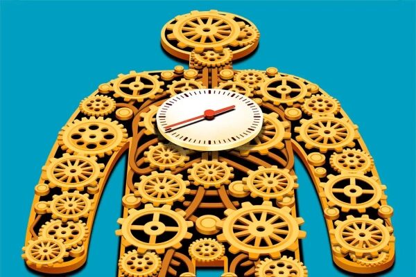 Как настроить свои биологические часы для более долгой и здоровой жизни