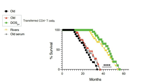 c4cc0cd00cb59e0cd8490177a696cdf8
