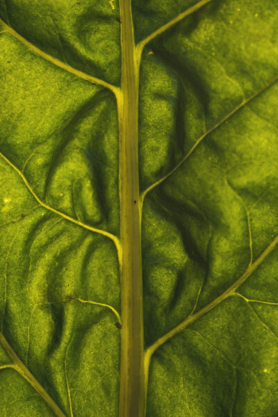 cbba4ce530efa28df99959111a9cf4ad