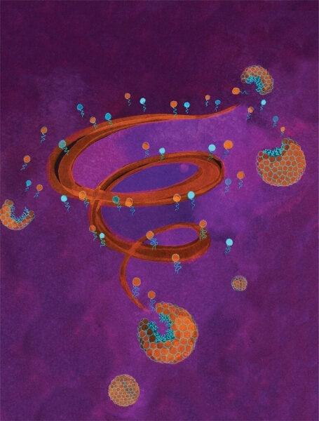 ce8ef0caadcd3a8a7e16671471327279