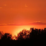 Закат над деревьями на фоне оранжевого неба.