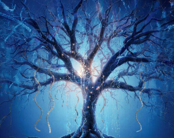 Фантастическое дерево с сияющей аурой на фоне звездного неба.