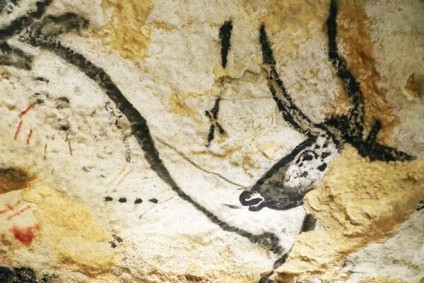 New Scientist. Научные новости и аналитические статьи от экспертов-журналистов, освещающие достижения в науке, технологиях, здравоохранении и охране окружающей среды, на сайте и в журнале.