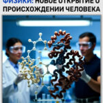 Учёные изучают молекулярную модель в лаборатории. Открытие о происхождении человека.