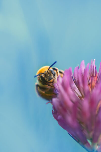 f676ba997423676501db215507061bbe