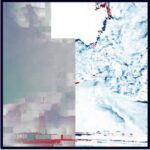 Человек на скейтборде едет по дороге в лесу, окружающий пейзаж размытый.