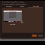 Экран выбора области для общего доступа в приложении, выделена вся область экрана.