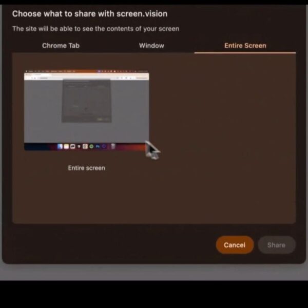 Экран выбора области для общего доступа в приложении, выделена вся область экрана.