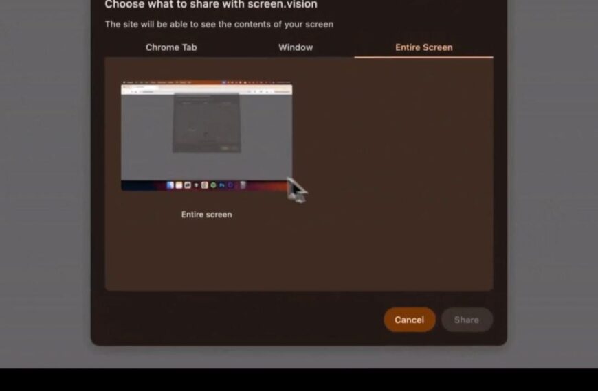 Экран выбора области для общего доступа в приложении, выделена вся область экрана.