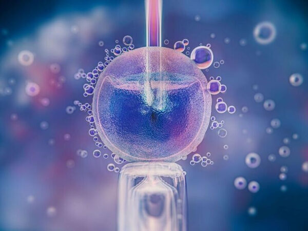 Клетка под микроскопом, процесс деления, исследование в лаборатории, наука.