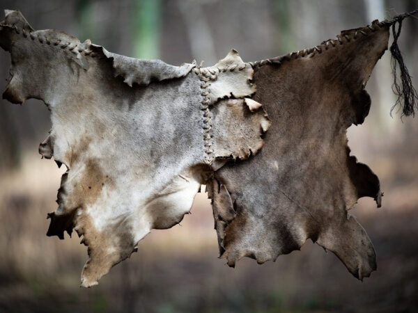 Сшитые вместе шкуры животных на фоне леса.