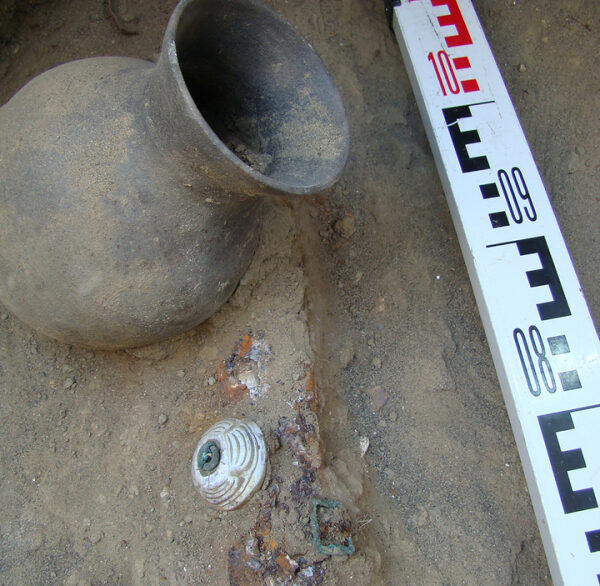 Российские ученые устроили тысячелетней бактерии из погребения космическое путешествие