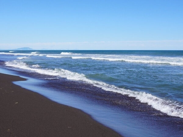 Ученые рассказали о последствии изменения климата 1 Ученые рассказали о последствии изменения климата