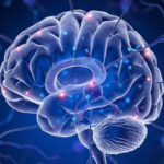 Изображение человеческого мозга с нейронными связями на синем фоне.