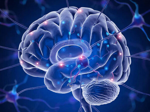 Изображение человеческого мозга с нейронными связями на синем фоне.