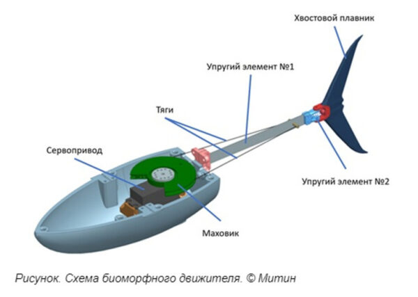 В водоем российского города готовятся запустить рыбу-робот 2 В водоем российского города готовятся запустить рыбу-робот