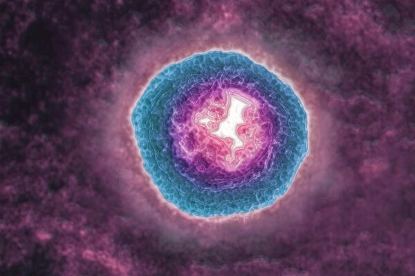 Абстрактное изображение в розово-синих тонах, напоминающее фрактал или галактику.