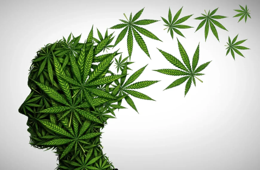 Силуэт человека из листьев конопли, символизирующий мысли и креативность.