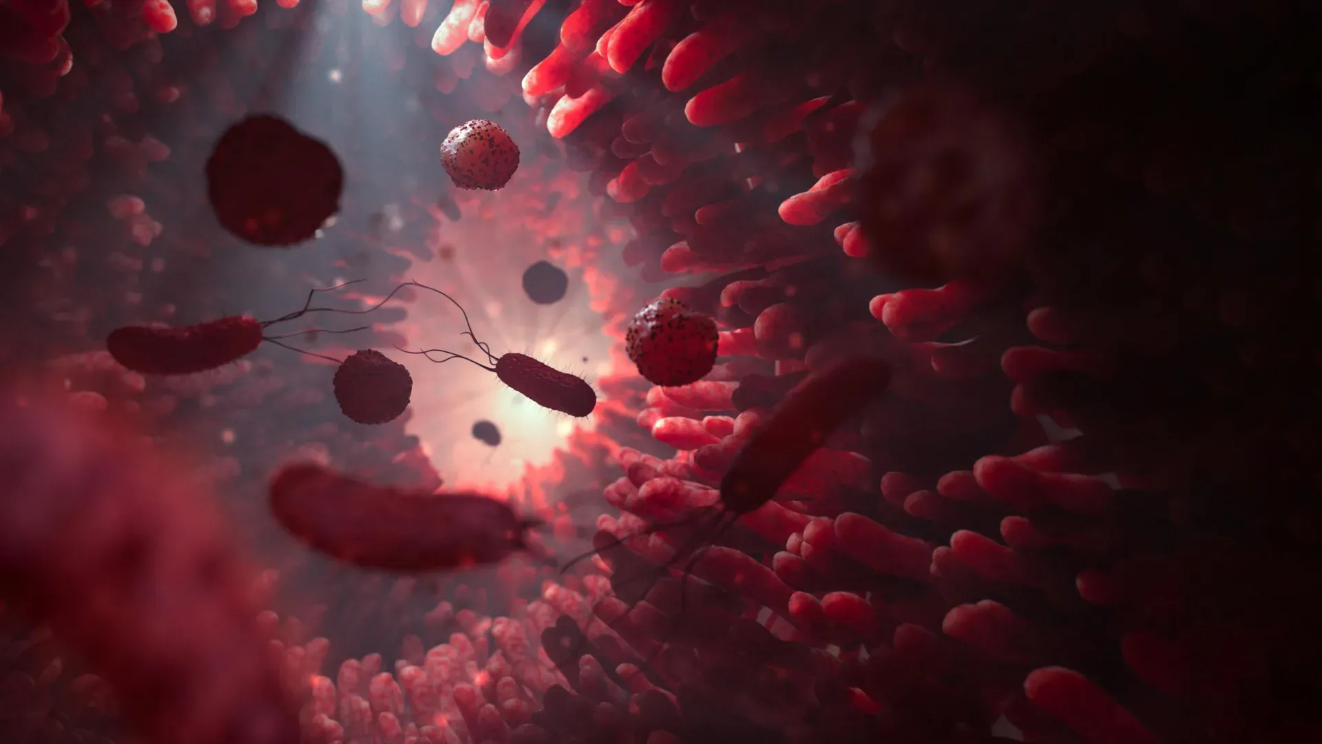 Новый «суперантибиотик» останавливает смертельно опасную кишечную инфекцию, не разрушая микробиом. 3 Микроскопическое изображение бактерий в кишечнике, показаны формы и текстуры микроорганизмов.