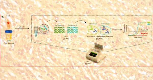 Схема лабораторного процесса обнаружения патогенов, включая анализ ДНК и метод CRISPR.