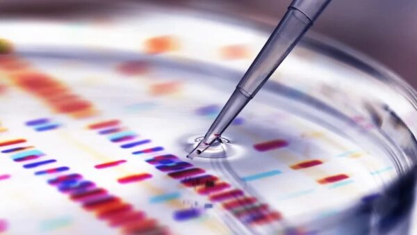 Почему учёные не умеют смеяться 1 Пипетка над петриевой чашей с образцами ДНК, лабораторное исследование.