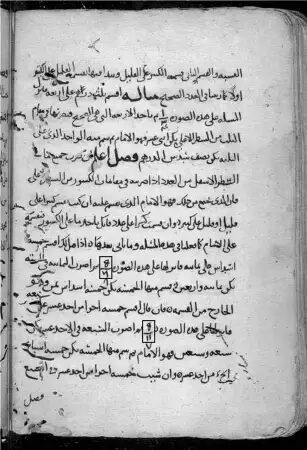 Вы когда-нибудь задумывались, откуда взялись наши математические символы? Вот их истории 2 A страница из книги Абу Бакра аль-Хасшара