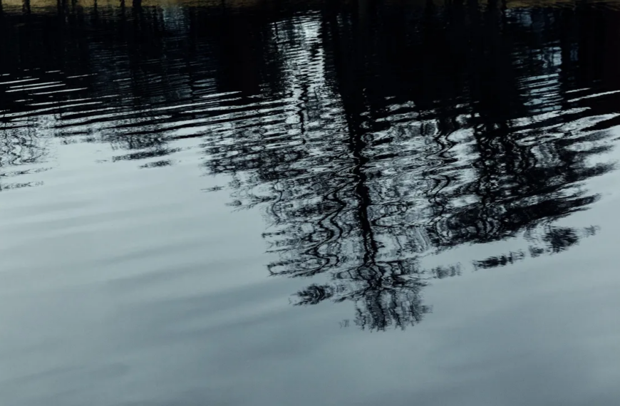 Отражение деревьев в воде озера, спокойная гладь.