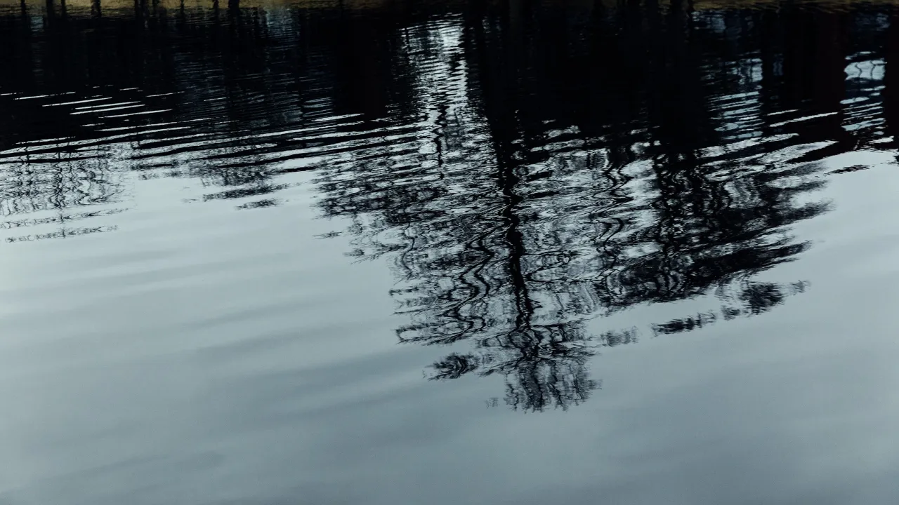 Отражение деревьев в воде озера, спокойная гладь.