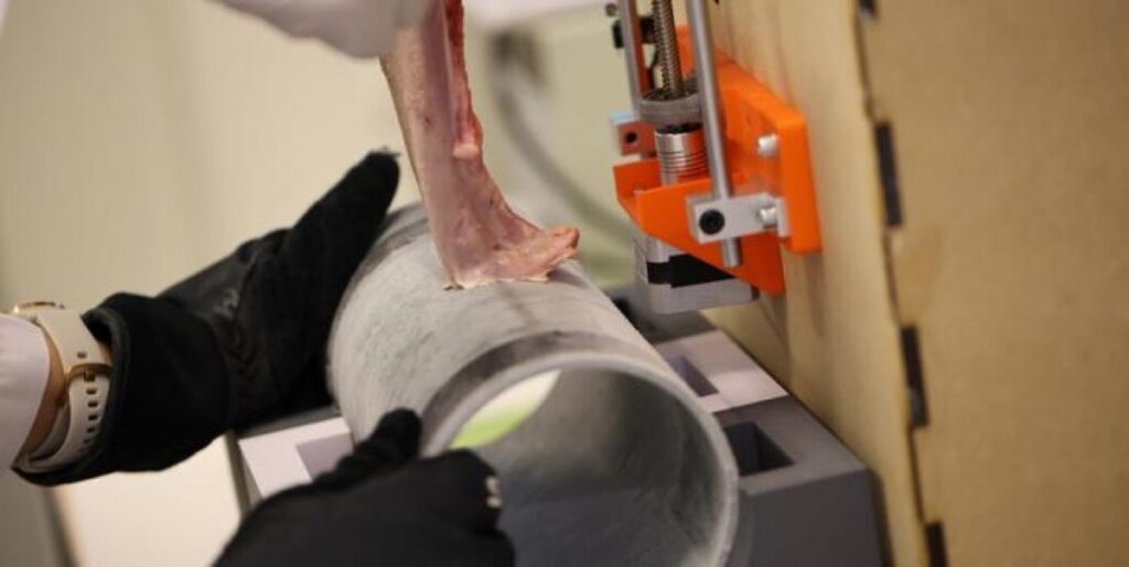 Крупный план прилипшего к холодной металлической поверхности языка во время теста.