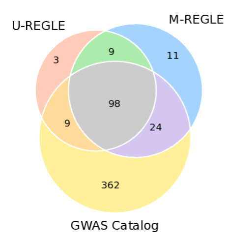 Открытия MREGLE-3
