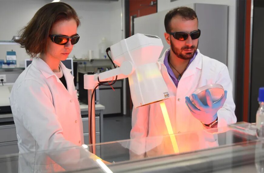 Новое светоактивируемое покрытие способно убивать стойкие микробы