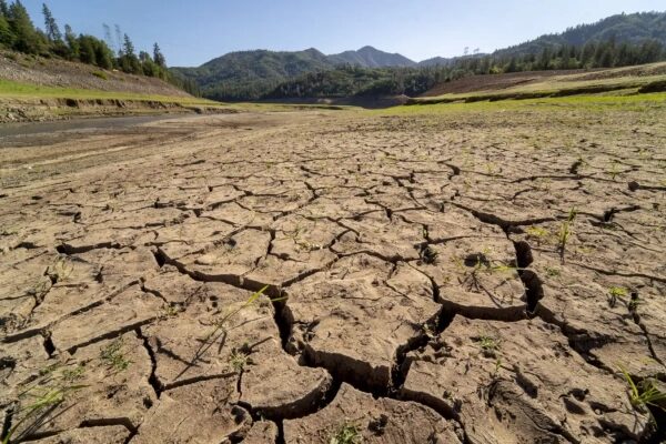 Высохшее растрескавшееся озеро на фоне гор и леса под ясным небом.