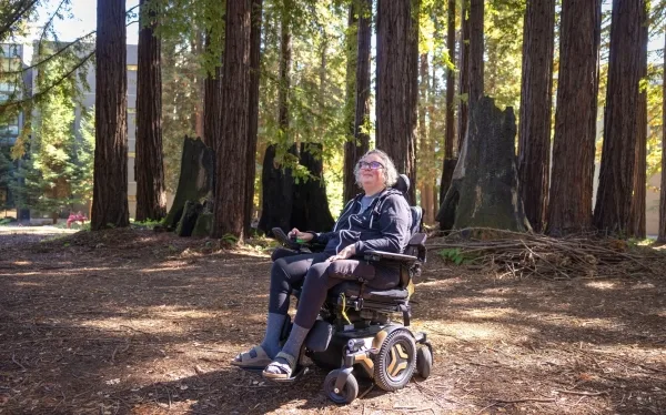 Исследовательница Кэрри Парч смотрит на секвойи на территории кампуса Калифорнийского университета в Санта-Крузе из своей инвалидной коляски с электроприводом.