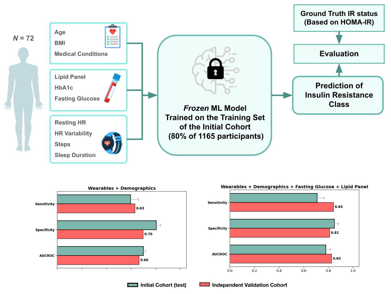 Прогнозирование инсулинорезистентности-8