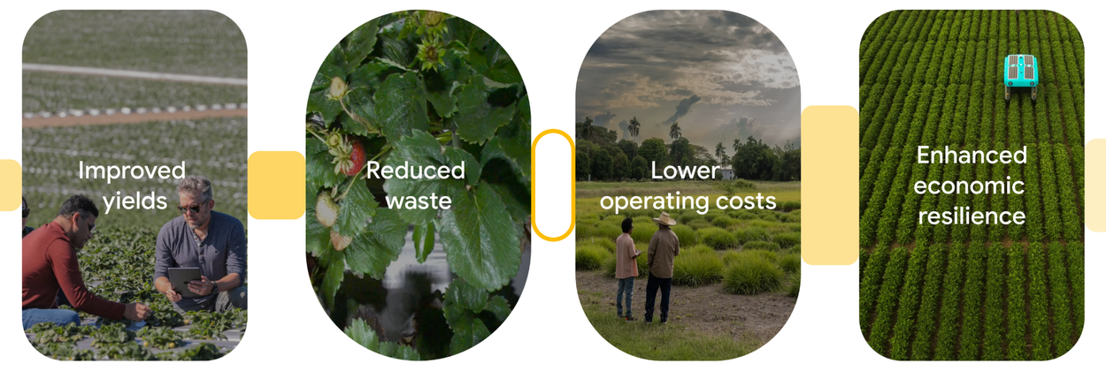 AIforthePlanet-3a-Nowcasting