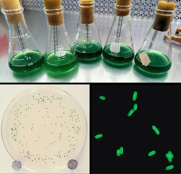 78e703e1a962a7f8a18ae809dc27fc19