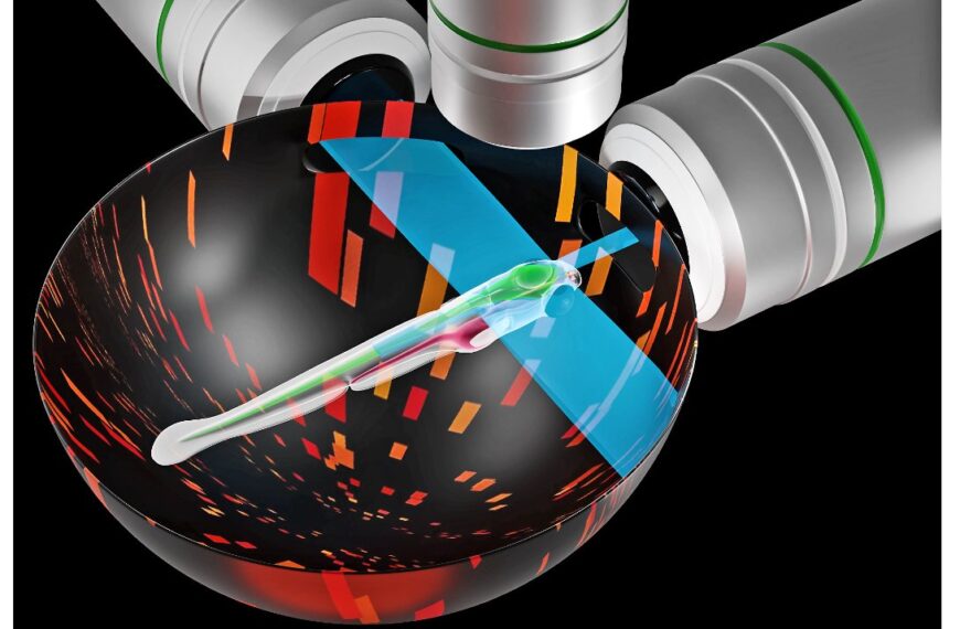 Улучшение моделей работы мозга с помощью ZAPBench