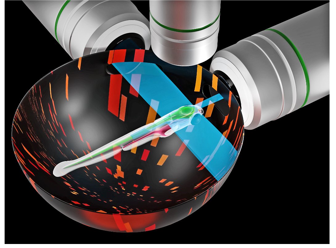 83f83d864dd4053d3c26a978a60074a5 1