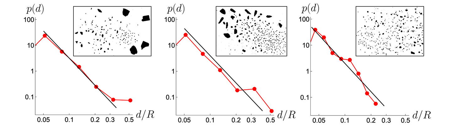 Почему предметы разбиваются одинаково? Математика раскрывает тайну 3 Графики зависимости с вероятностью p(d) от отношения d/R, три диаграммы с точками и линиями.