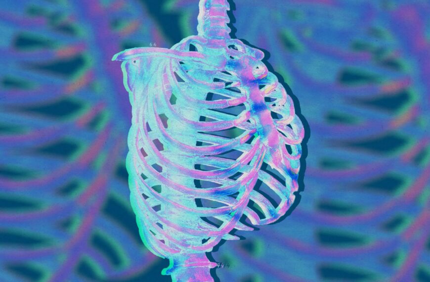 Цветная абстракция грудной клетки изнутри.