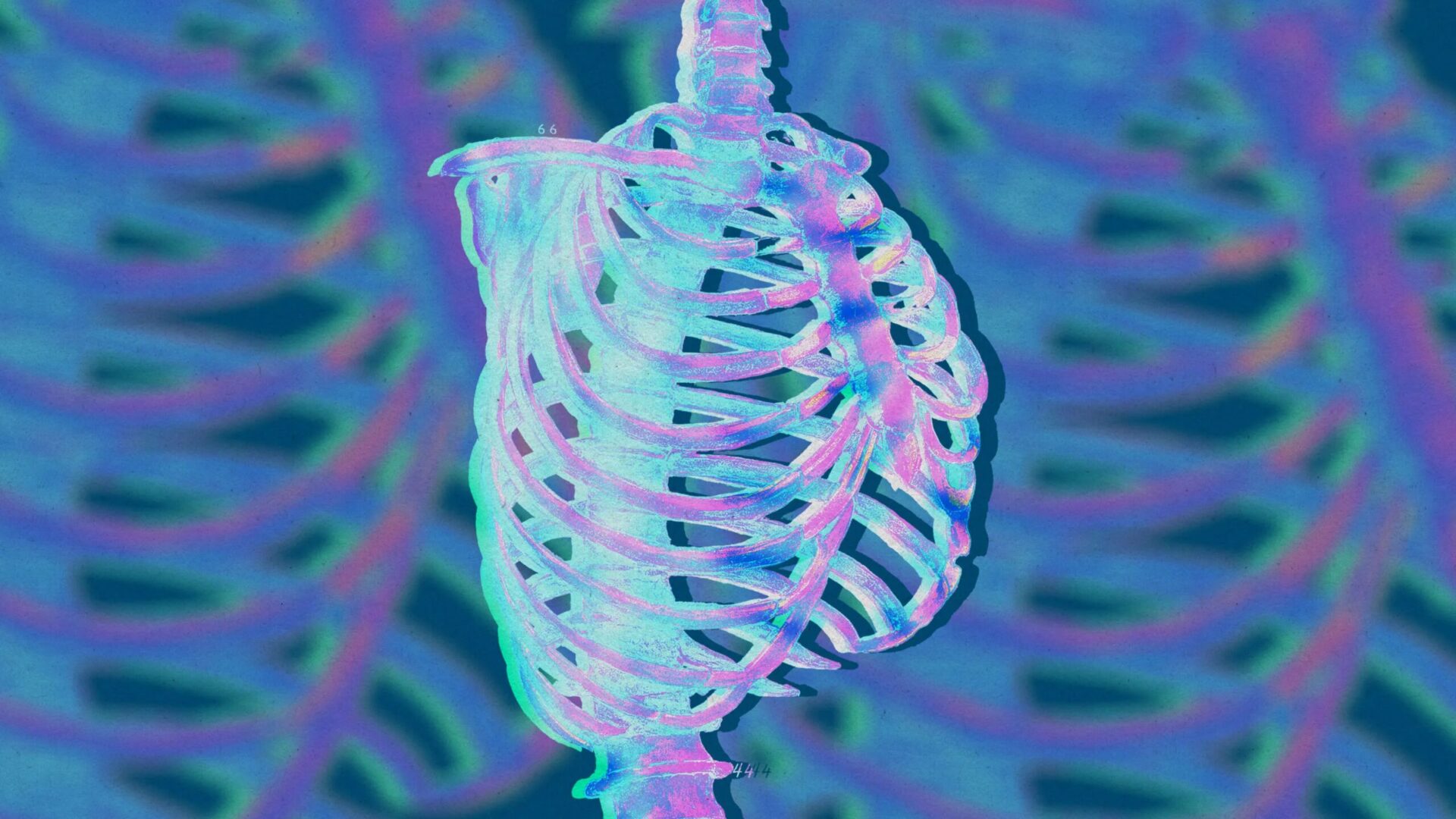 Цветная абстракция грудной клетки изнутри.