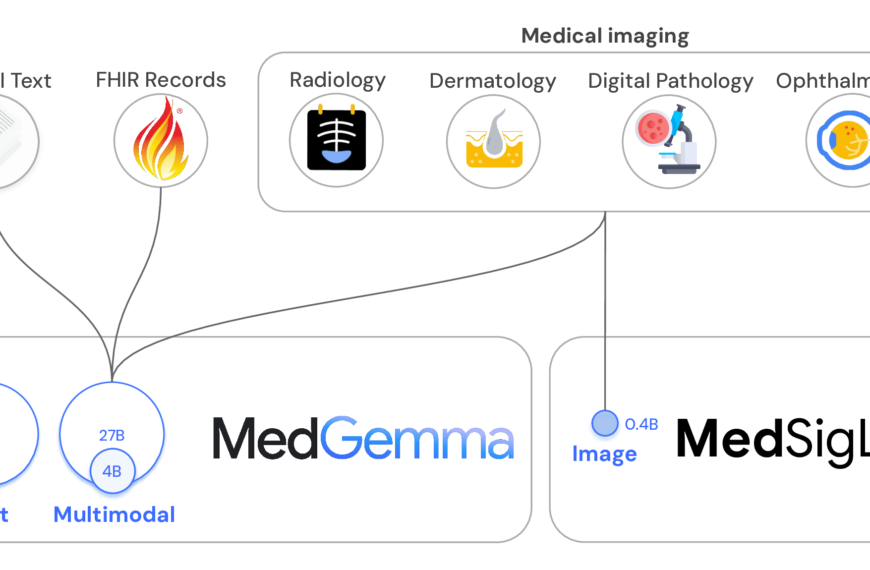 Схема медицинских данных: текст, изображения, диагностика, MedGemma, MedSigLIP.