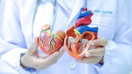 Компания Emboline планирует запуск системы защиты от эмболии в США и ЕС после привлечения инвестиций в размере 20 миллионов долларов — Medical Device Network